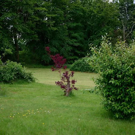 Traumhaus Mit Foerdeblick - Foerde-anker Holiday home